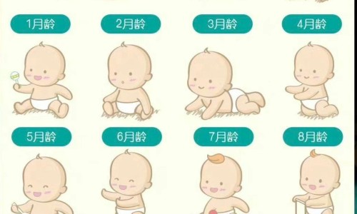 乌龟身上痘痘网-分享乌龟身上有白色斑点，乌龟身上有白色疙瘩知识库