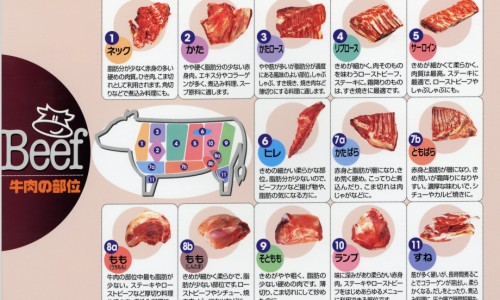 乌龟身上痘痘网-分享乌龟身上有白色斑点，乌龟身上有白色疙瘩知识库